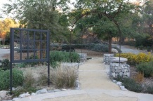 The permeability of the hardscapes, like this path, play a key role in taking advantage of every drop of water during drought.